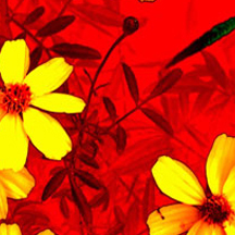 手机版ddos攻击器