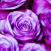 黑客软件攻击器手机版